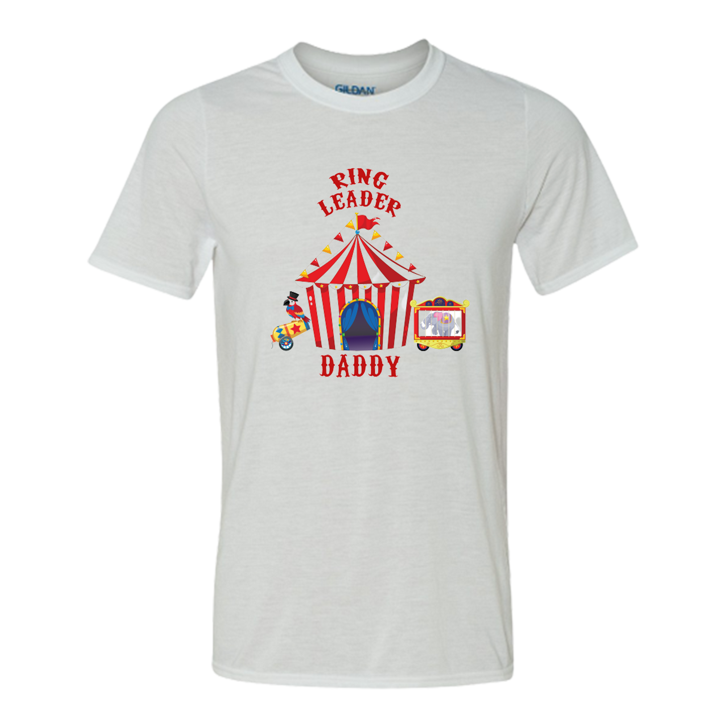 Birthday tshirts- Carnival theme for family and friends