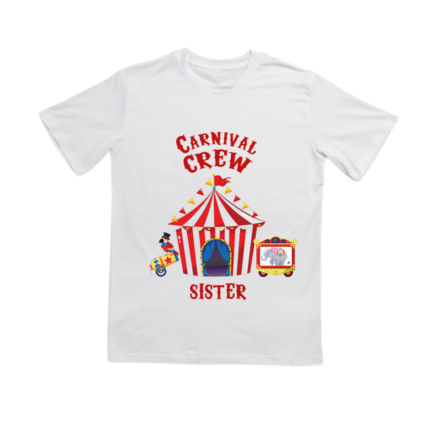 Birthday tshirts- Carnival theme for family and friends